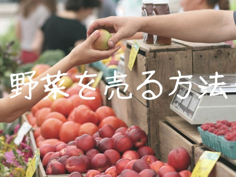 野菜を売る方法