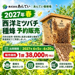 西洋ミツバチ2027年