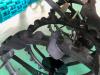 99時間美品6条植クボタ田植機EP67ローター付です。